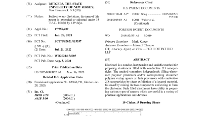 US Patent