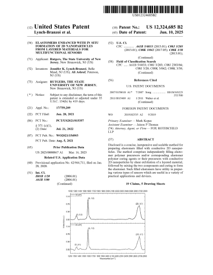US Patent